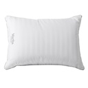 Martha Stewart Feather Pillow, 2-pack - 6677007 - 3