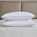 Martha Stewart Feather Pillow, 2-pack - 6677007 - 4