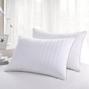 Martha Stewart Feather Pillow, 2-pack - 6677007 - 6