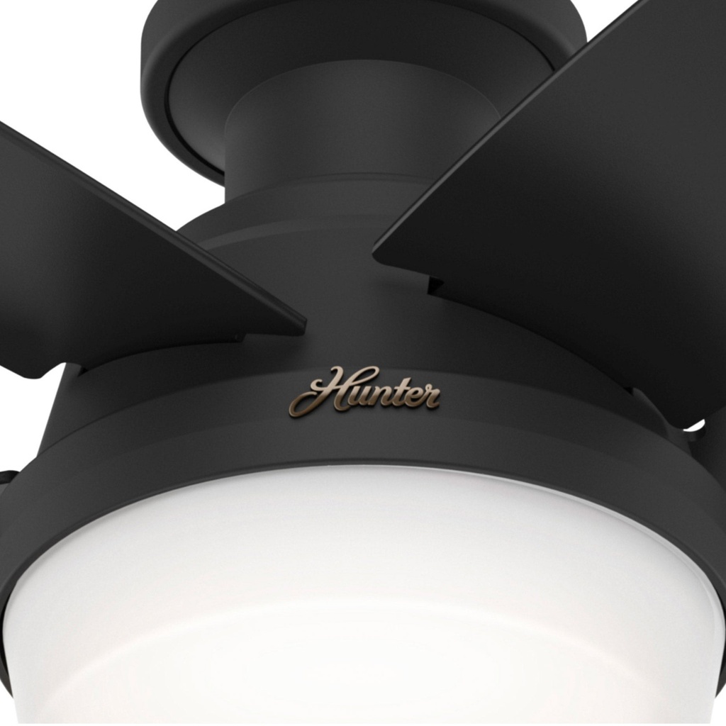 Hunter Avia 48 in. (121.9 cm) Low-profile LED Ceiling Fan - 1312563 - 7