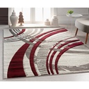 Segma Anya Indoor Area Rug 1521200
