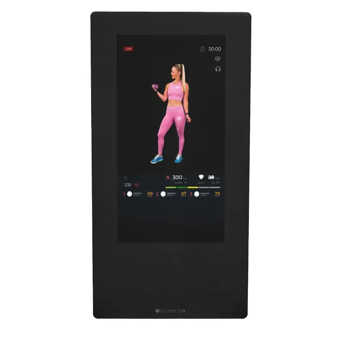 Echelon Reflect 40 in. (101.6 cm) Mirror