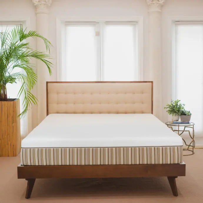 Essentia Organic Dream Green 22.9 cm (9 in.) Latex Mattress
