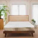 Essentia Organic Dream Green 22.9 cm (9 in.) Latex Mattress