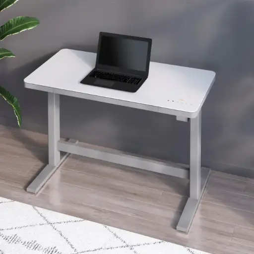 Tresanti Geller Adjustable Height 120.1 cm x 65 cm (47.3 in. x 25.6 in.) Desk