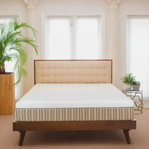 Essentia Organic Dream Green 22.9 cm (9 in.) Latex Mattress