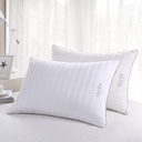 Martha Stewart Feather Pillow, 2-pack - 6677007 - 1