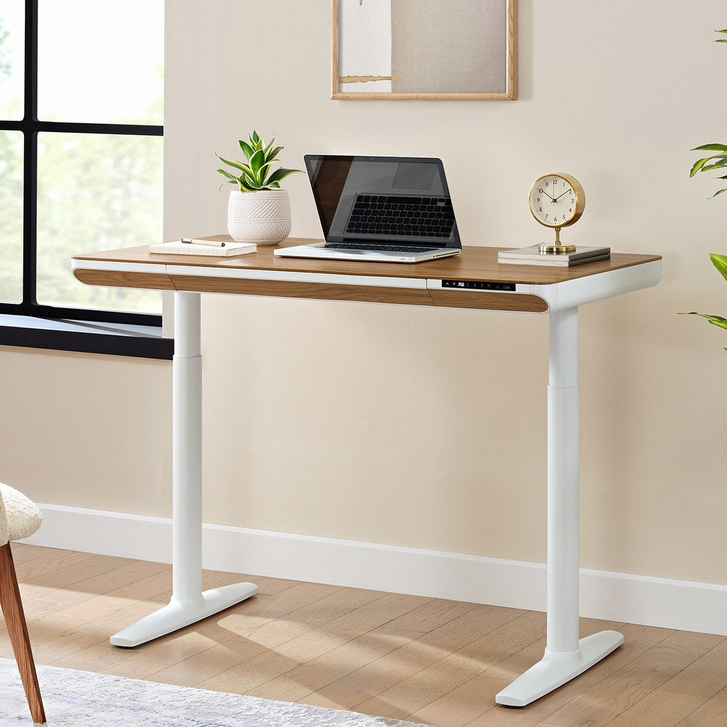 Nico Case 117 cm (46.06 in.) Height Adjustable Lift Desk - 1812659 - 1