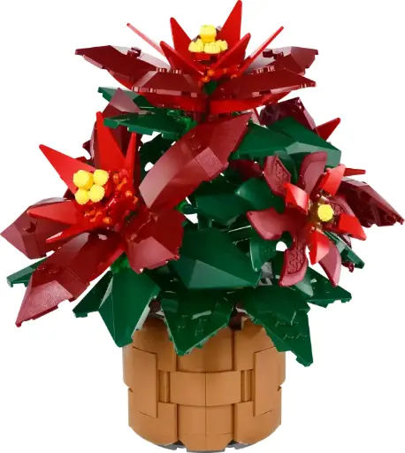 BOTANICAL POINSETTIA